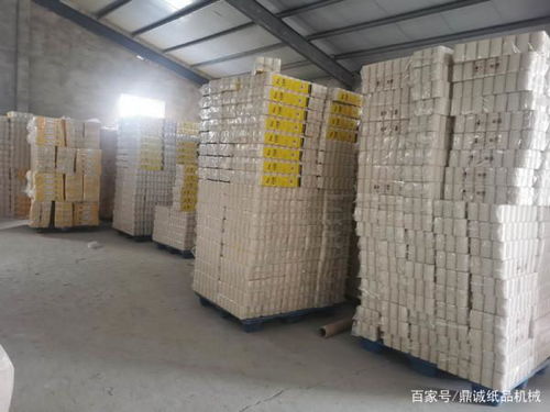 想在農村老家辦個小型衛生紙加工廠,需要投資多少錢呢